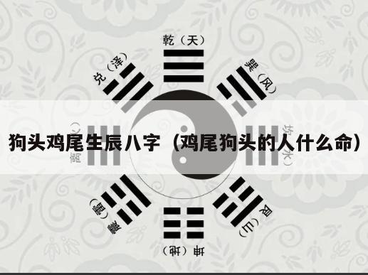 狗头鸡尾生辰八字（鸡尾狗头的人什么命）