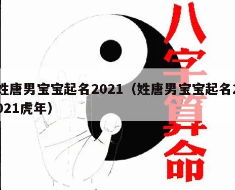 姓唐男宝宝起名2021（姓唐男宝宝起名2021虎年）