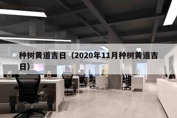 种树黄道吉日（2020年11月种树黄道吉日）