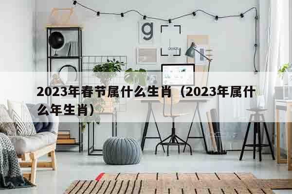 2023年春节属什么生肖（2023年属什么年生肖）