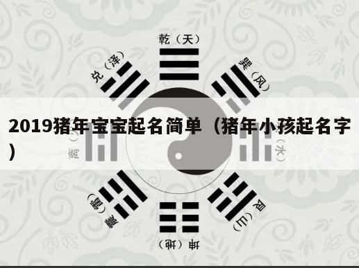 2019猪年宝宝起名简单（猪年小孩起名字）