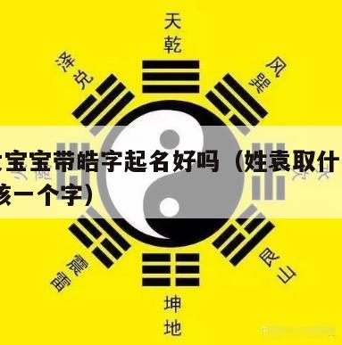 袁姓女宝宝带皓字起名好吗（姓袁取什么名字好,女孩一个字）