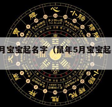 鼠年5月宝宝起名字（鼠年5月宝宝起名字怎么起）