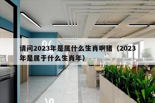 请问2023年是属什么生肖啊猪（2023年是属于什么生肖年）