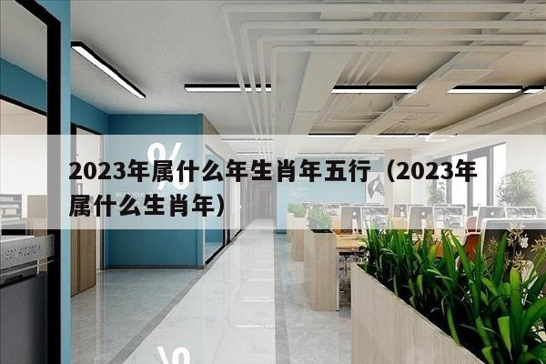 2023年属什么年生肖年五行（2023年属什么生肖年）