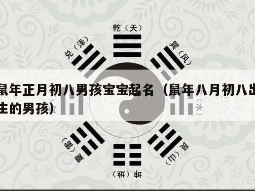 鼠年正月初八男孩宝宝起名（鼠年八月初八出生的男孩）