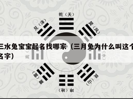 三水兔宝宝起名找哪家（三月兔为什么叫这个名字）