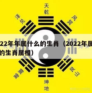 2022年年属什么的生肖（2022年属什么的生肖属相）