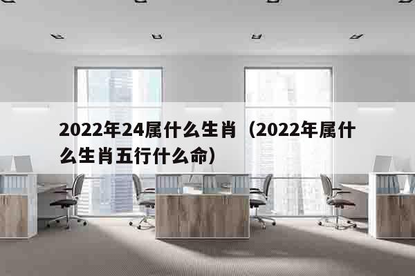 2022年24属什么生肖（2022年属什么生肖五行什么命）