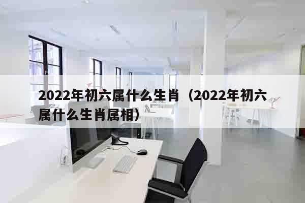 2022年初六属什么生肖（2022年初六属什么生肖属相）