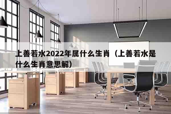 上善若水2022年属什么生肖（上善若水是什么生肖意思解）