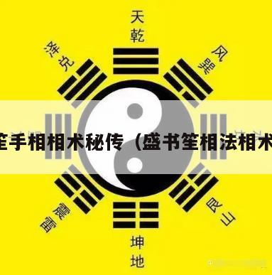 盛书笙手相相术秘传（盛书笙相法相术秘传）