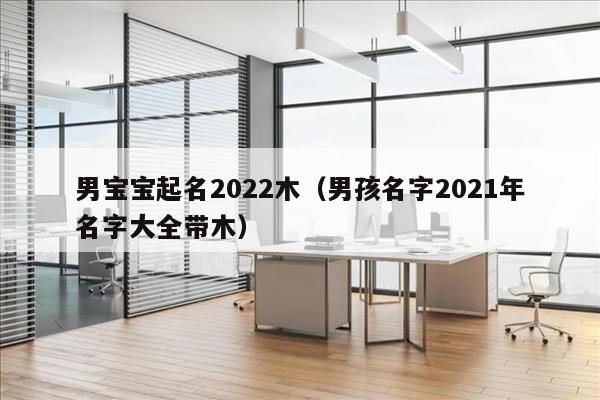 男宝宝起名2022木（男孩名字2021年名字大全带木）