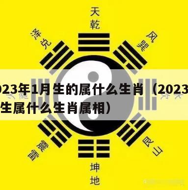 2023年1月生的属什么生肖（2023年出生属什么生肖属相）