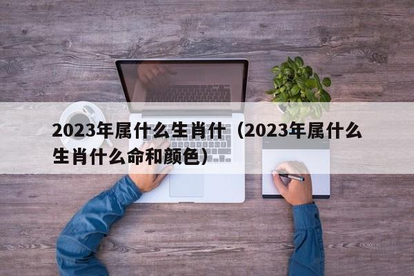 2023年属什么生肖什（2023年属什么生肖什么命和颜色）