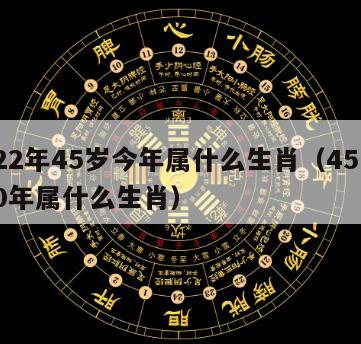 2022年45岁今年属什么生肖（45岁2020年属什么生肖）