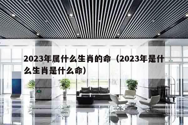 2023年属什么生肖的命（2023年是什么生肖是什么命）