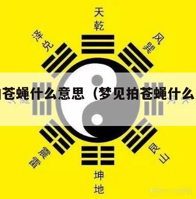 梦见拍苍蝇什么意思（梦见拍苍蝇什么意思呀）