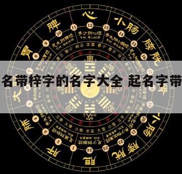 宝宝起名带梓字的名字大全 起名字带梓的有哪些