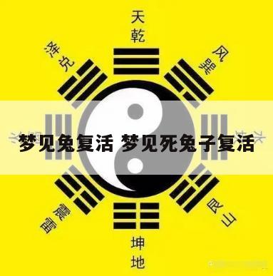 梦见兔复活 梦见死兔子复活