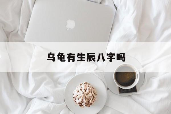 乌龟有生辰八字吗,乌龟有没有生命