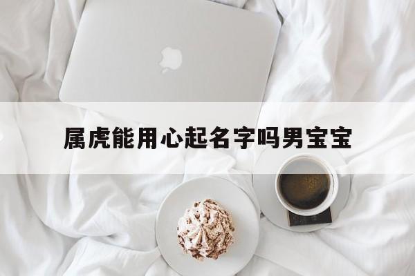 属虎能用心起名字吗男宝宝,属虎的人姓名中宜用字